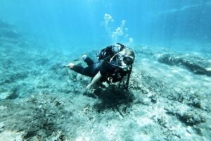 First Experience Scuba Diving - Before you even show up: online materials and same-day instructions