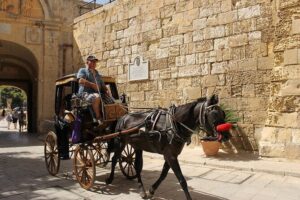 Half Day Shared Tour in Malta - Blue Grotto Caves: The Big Payoff, Plus the Weather Reality